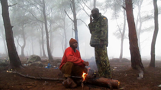 layout image (to proper size of the container)