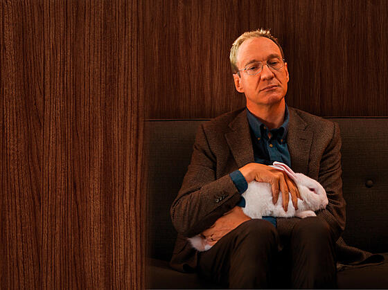 layout image (to proper size of the container)