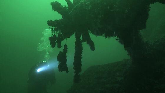 forhåndsvisning af film