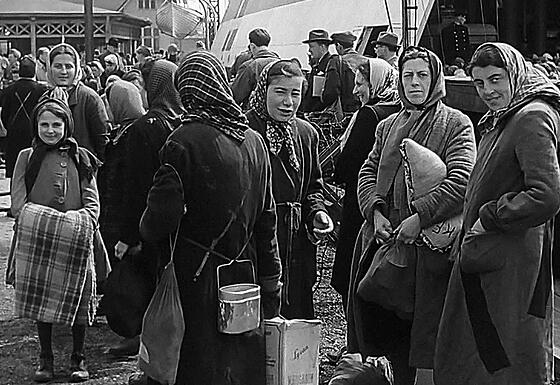 layout image (to proper size of the container)