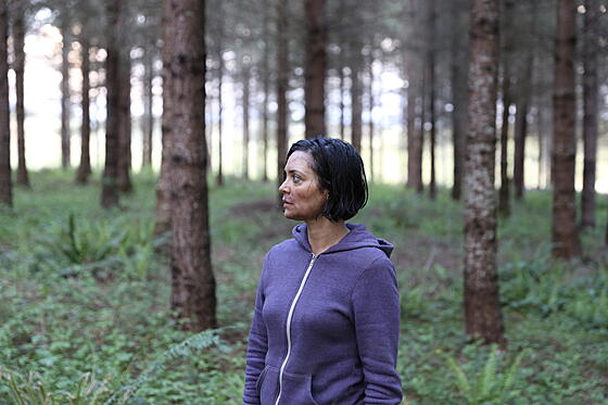 layout image (to proper size of the container)