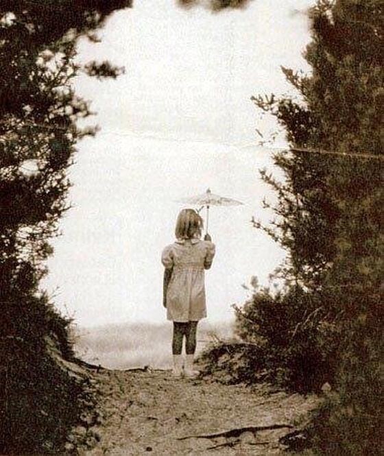 layout image (to proper size of the container)