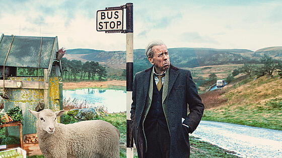 layout image (to proper size of the container)