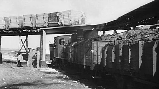 layout image (to proper size of the container)