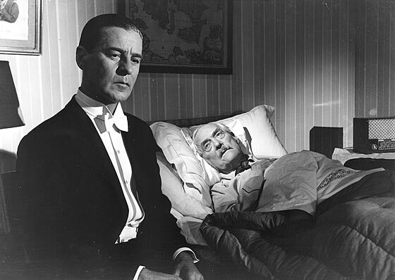 layout image (to proper size of the container)