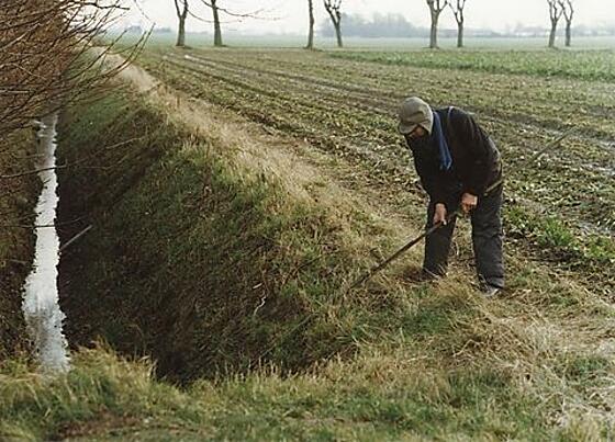 layout image (to proper size of the container)