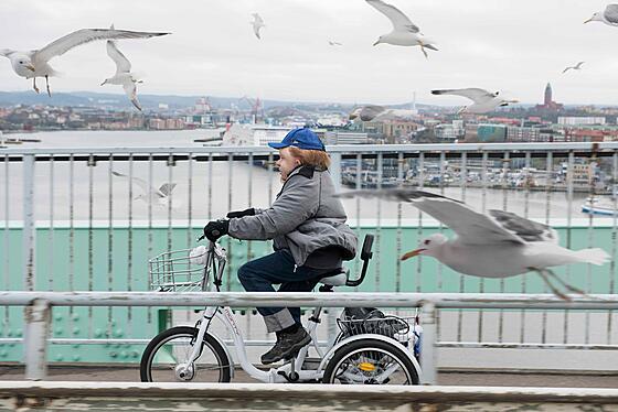 forhåndsvisning af film