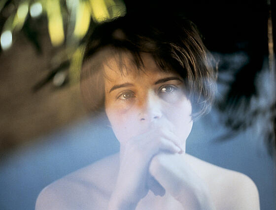 forhåndsvisning af film