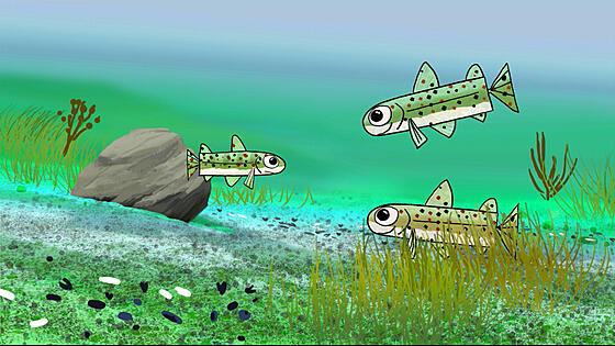 forhåndsvisning af film