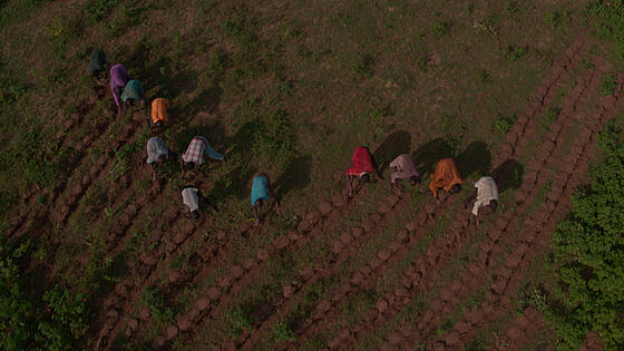 layout image (to proper size of the container)