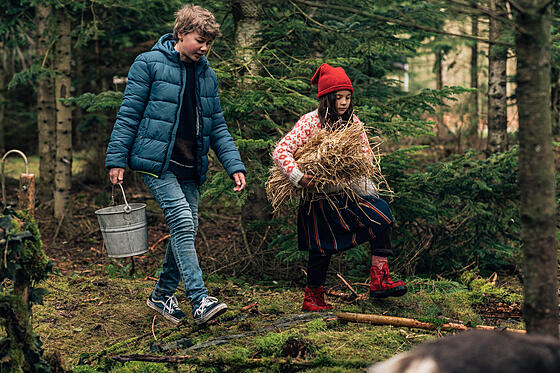 layout image (to proper size of the container)