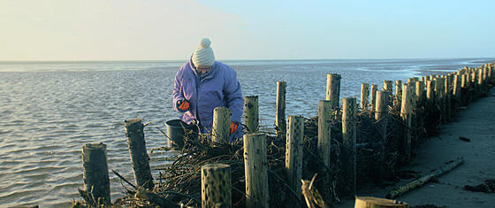 layout image (to proper size of the container)