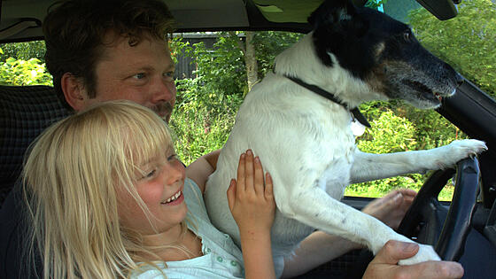 layout image (to proper size of the container)