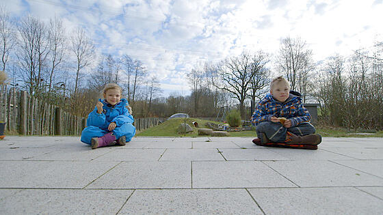 layout image (to proper size of the container)