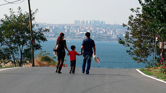 layout image (to proper size of the container)