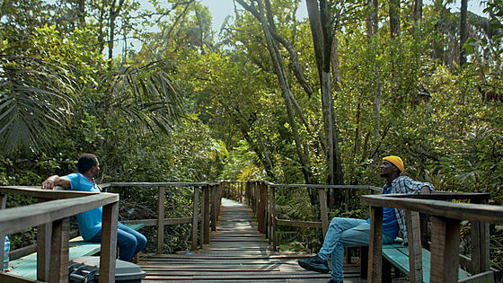 forhåndsvisning af film