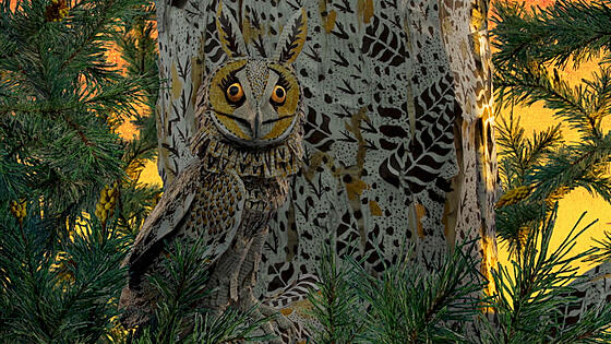 forhåndsvisning af film