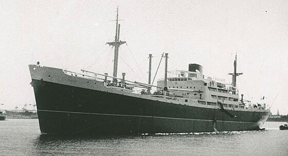 layout image (to proper size of the container)