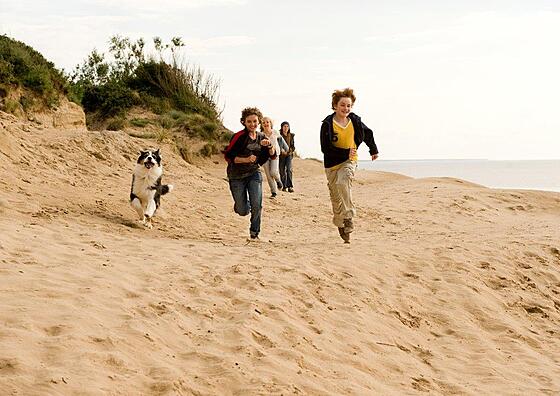 layout image (to proper size of the container)