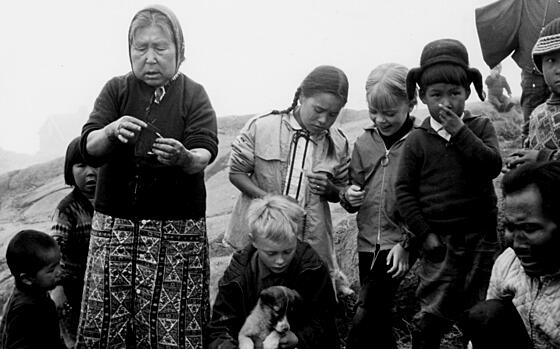 layout image (to proper size of the container)