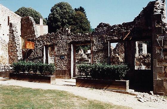 layout image (to proper size of the container)