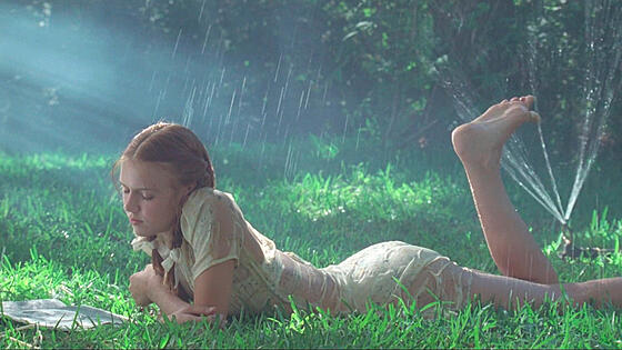 layout image (to proper size of the container)