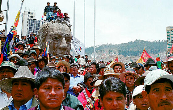 layout image (to proper size of the container)