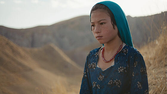 layout image (to proper size of the container)