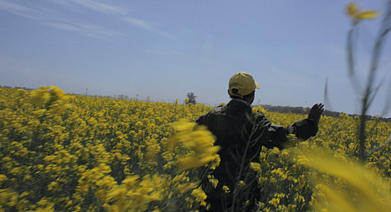 layout image (to proper size of the container)