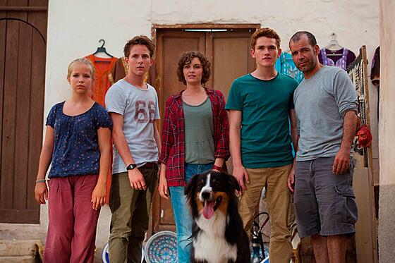 layout image (to proper size of the container)