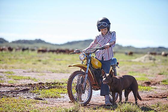 layout image (to proper size of the container)