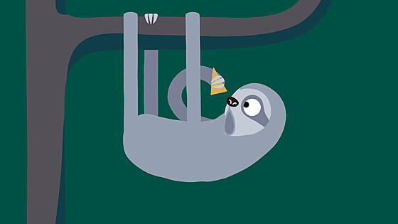 forhåndsvisning af film