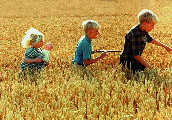 layout image (to proper size of the container)