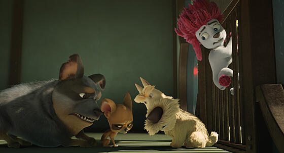 forhåndsvisning af film