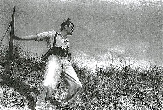 layout image (to proper size of the container)