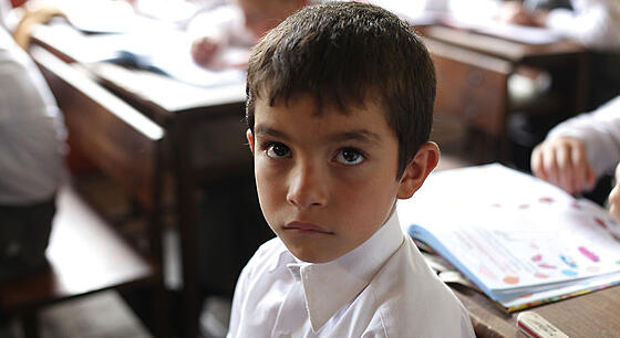 layout image (to proper size of the container)