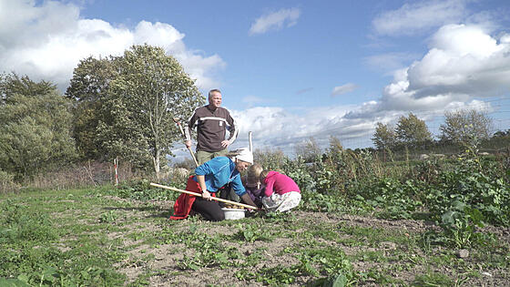 layout image (to proper size of the container)