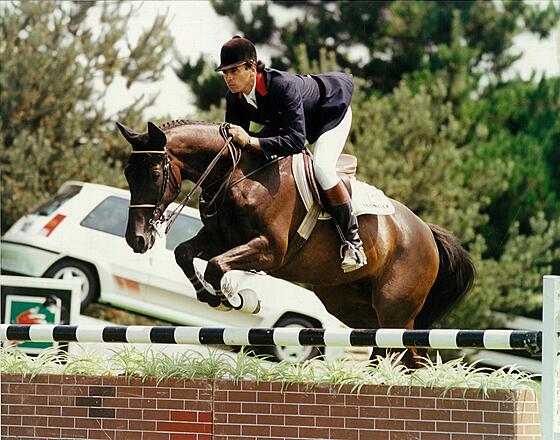 layout image (to proper size of the container)