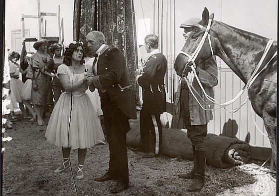 forhåndsvisning af film