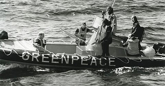 layout image (to proper size of the container)