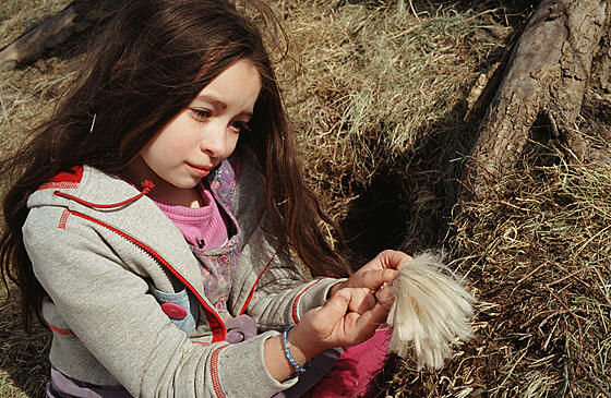 layout image (to proper size of the container)