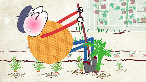 layout image (to proper size of the container)