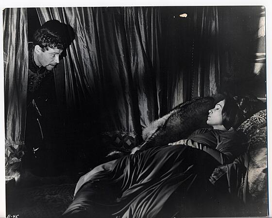 layout image (to proper size of the container)