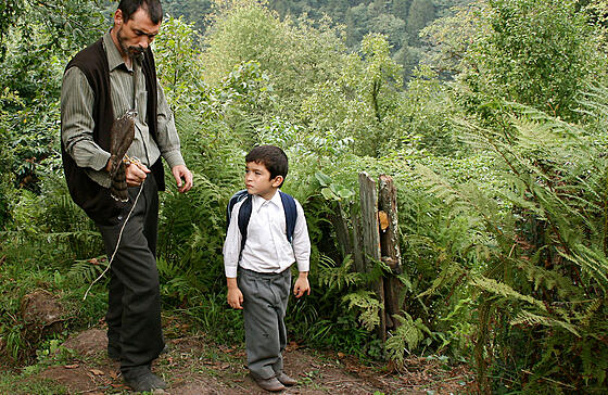 forhåndsvisning af film