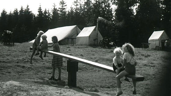 layout image (to proper size of the container)