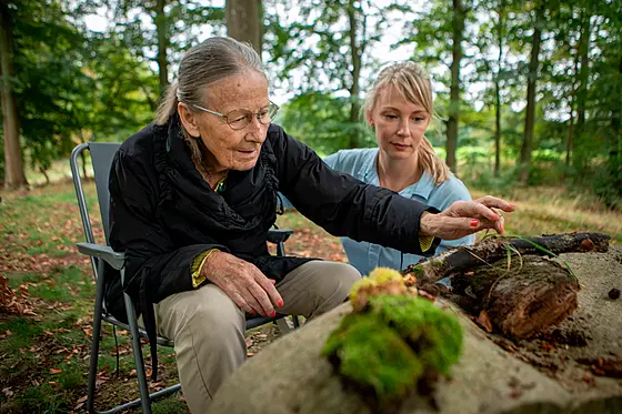 forhåndsvisning af film