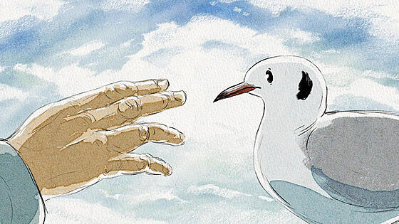 forhåndsvisning af film