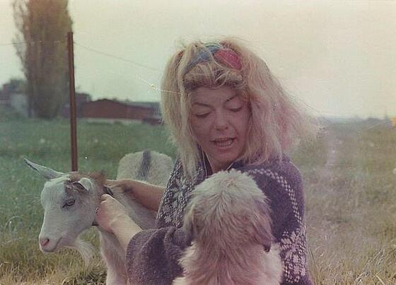 forhåndsvisning af film