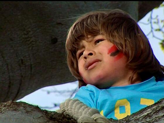 layout image (to proper size of the container)