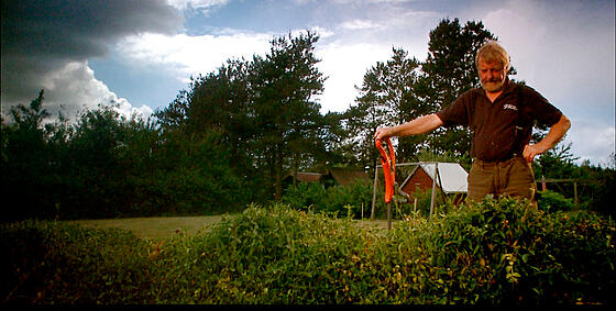 forhåndsvisning af film